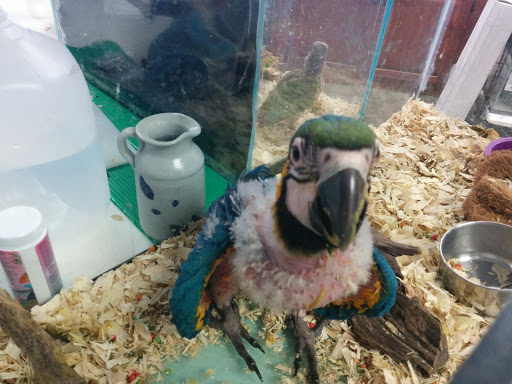 Pet Store «WorldWide Fish & Pets», reviews and photos, 61 Amity Rd, New Haven, CT 06515, USA