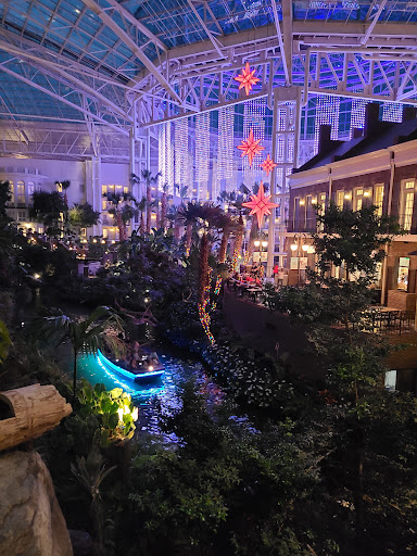 Hotel «Gaylord Opryland Resort & Convention Center», reviews and photos, 2800 Opryland Dr, Nashville, TN 37214, USA