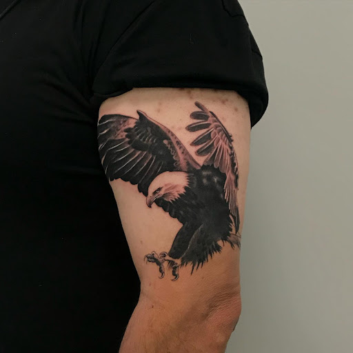 Book Store «Trents Bookshelf», reviews and photos, 8139 Elk Grove Blvd, Elk Grove, CA 95758, USA