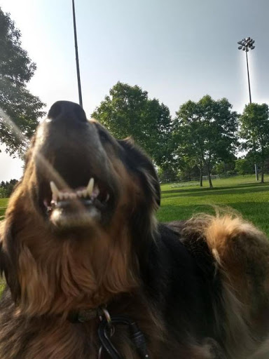 Pet Supply Store «Pet Supplies Plus», reviews and photos, 955 Co Rd E East #100, Vadnais Heights, MN 55127, USA