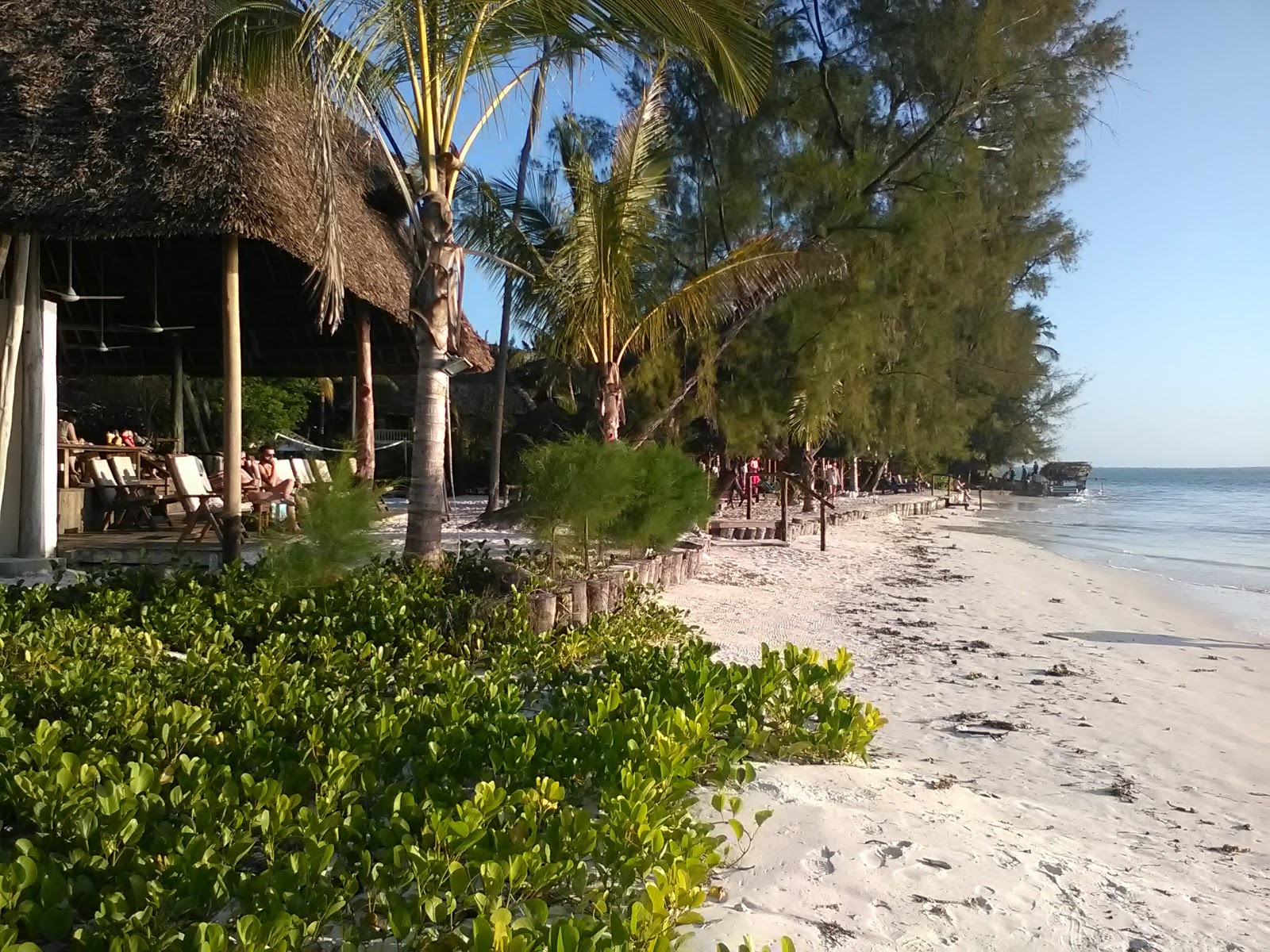 Photo de Michamvi Sunset Beach - endroit populaire parmi les connaisseurs de la détente