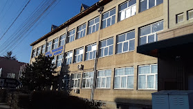 Liceul Tehnologic Dimitrie Filișanu