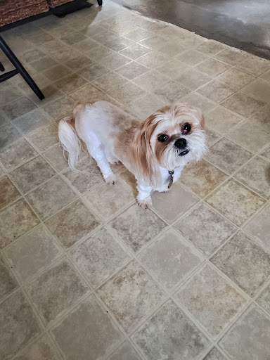 Pet Supply Store «The Dog House», reviews and photos, 4237 S Alameda St, Corpus Christi, TX 78412, USA