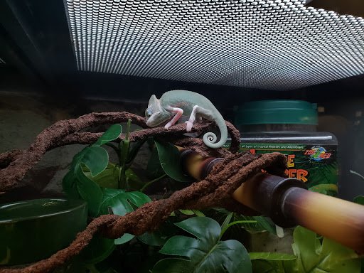 Pet Supply Store «Petco Animal Supplies», reviews and photos, 2131 Pleasant Hill Rd, Duluth, GA 30096, USA