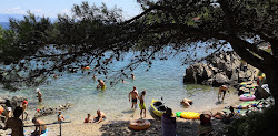 Plaza Sv. Martin'in fotoğrafı imkanlar alanı