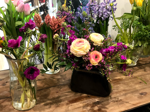 Plant Nursery «Potomac Petals and Plants», reviews and photos, 9545 River Rd, Rockville, MD 20854, USA