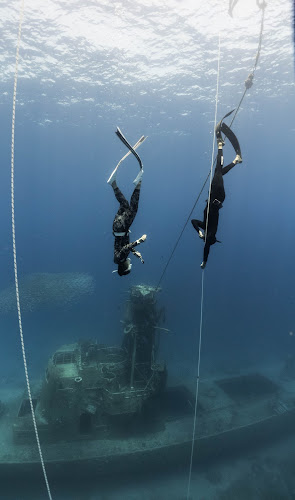 Comentarii opinii despre ניצן כץ צלילה חופשית - Nitzan Katz Freedive