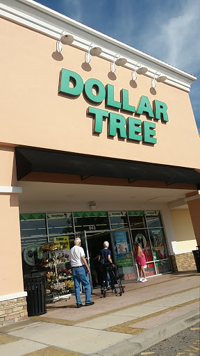 Dollar Store «Dollar Tree», reviews and photos, 843 Harley Strickland Blvd b, Orange City, FL 32763, USA