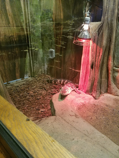 Park «Lake Tobias Wildlife Park», reviews and photos, 760 Tobias Road, Halifax, PA 17032, USA