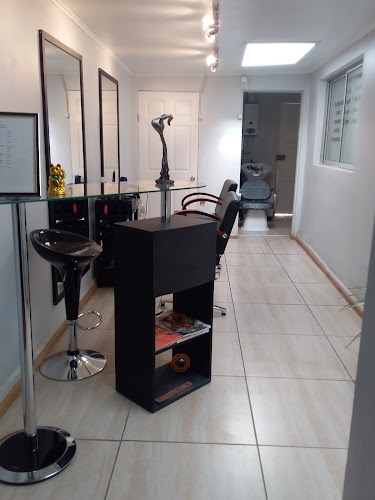 Opiniones de Hair Studio Salon By Claudio Collarte. en Vallenar - Peluquería