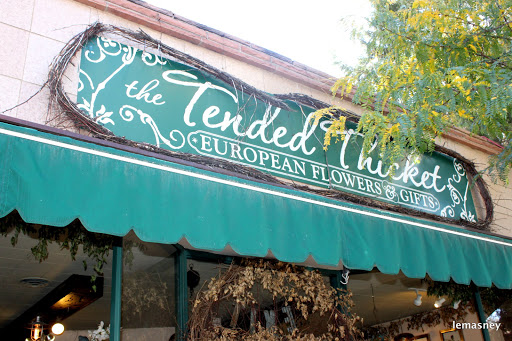 The Tended Thicket, 1034 S Gaylord St, Denver, CO 80209, USA, 
