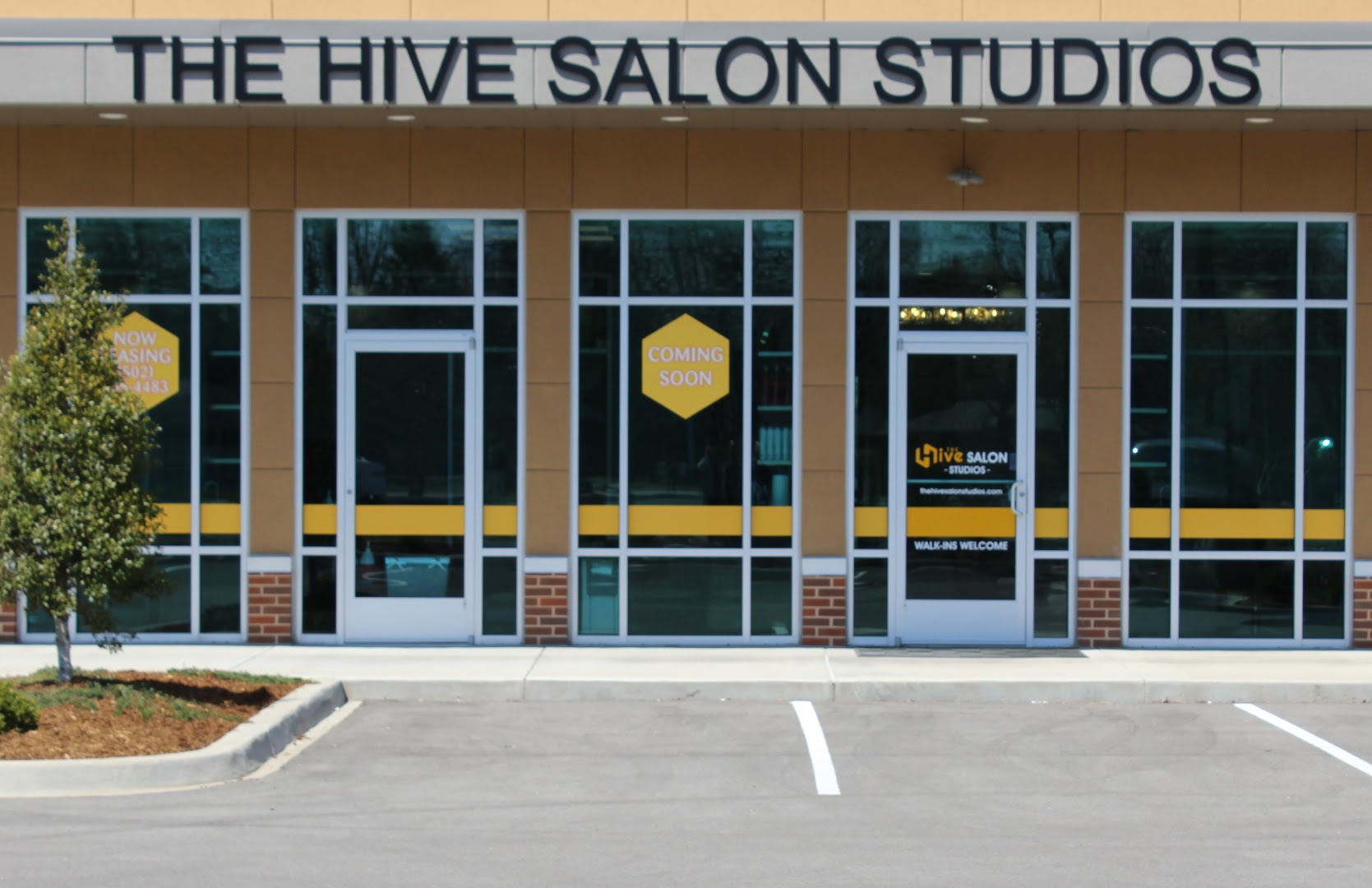 The Hive Salon Studios