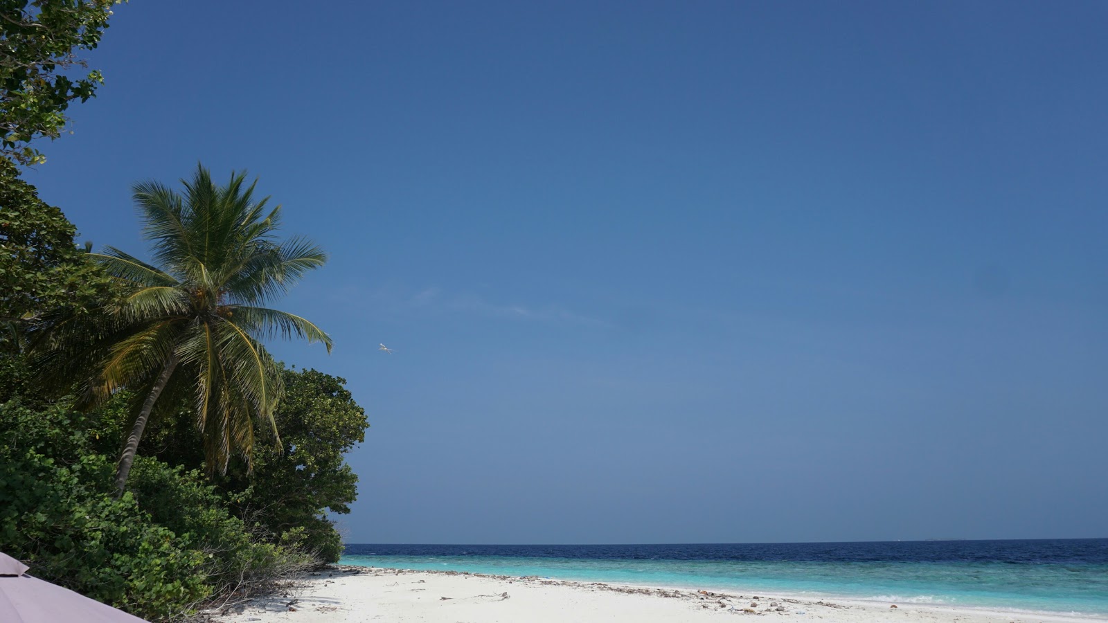 Photo of Gemendhoo Island Beach with turquoise pure water surface