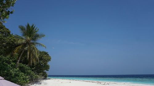 Gemendhoo Island Beach photo #1