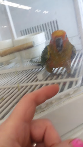 Pet Supply Store «Petco Animal Supplies», reviews and photos, 520 Woodside Rd, Redwood City, CA 94061, USA