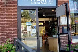 THE PLANT cafe organic image
