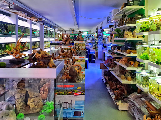 Aquaristik Pascal unter Konstanz, 