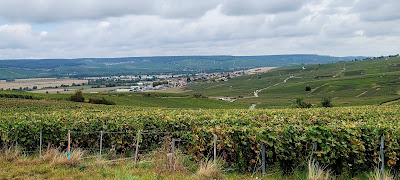 mardeuil entreprise à Mardeuil