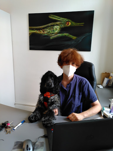 Kleintierpraxis Dr.med.vet. Ulrike Thome unter Essen, Nordrhein-Westfalen