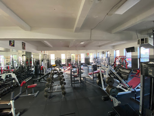 Gym «Elite Gym», reviews and photos, 782 Coney Island Ave, Brooklyn, NY 11218, USA