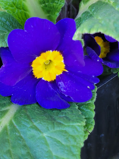 Home Improvement Store «Pierson Building Center», reviews and photos, 4100 Broadway St, Eureka, CA 95503, USA