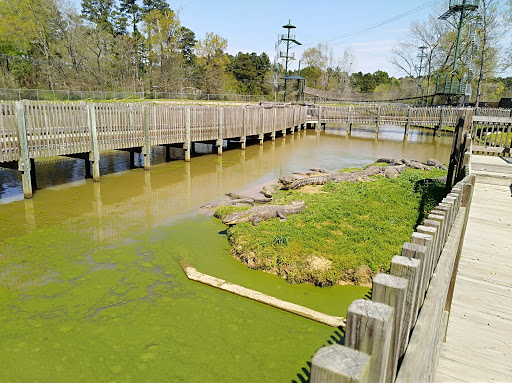 Zoo «Gators and Friends», reviews and photos, 11441 US-80, Greenwood, LA 71033, USA