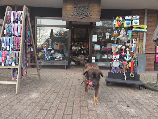 Hund von Eden unter Sankt Peter-Ording, 