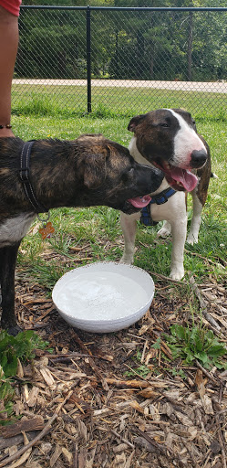 Park «Schappacher Park», reviews and photos, 4686 Old Irwin Simpson Rd, Mason, OH 45040, USA