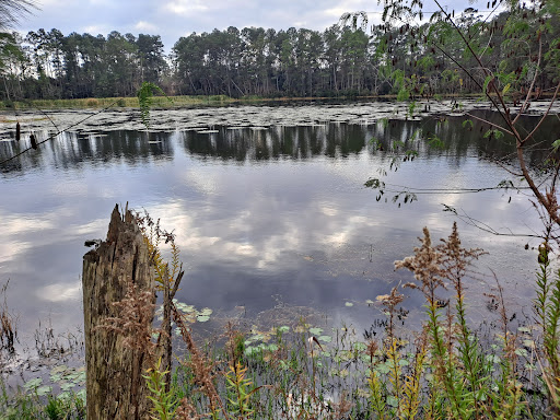 Nature Preserve «Montgomery County Preserve», reviews and photos, 1118 Pruitt Rd, The Woodlands, TX 77380, USA
