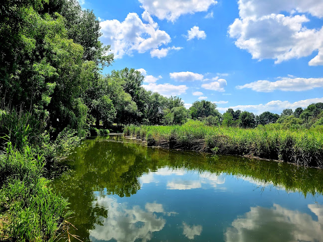 Veresegyházi tavak tanösvény - Webhelytervező