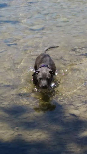 Park «Buffalo Ridge Park», reviews and photos, 5720 Parkwood Trail, Haltom City, TX 76137, USA