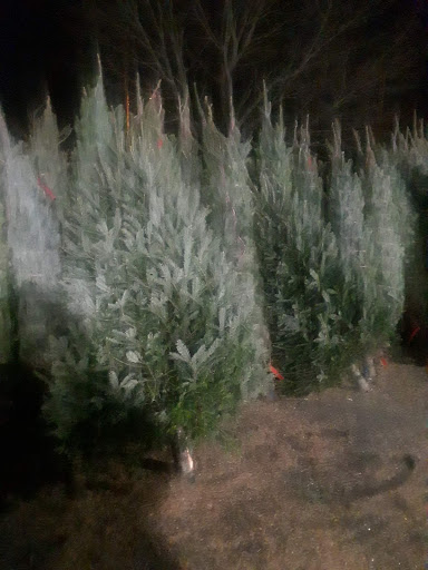 Produce Market «Level Acres Farm», reviews and photos, 353 Highland Ave, Attleboro, MA 02703, USA