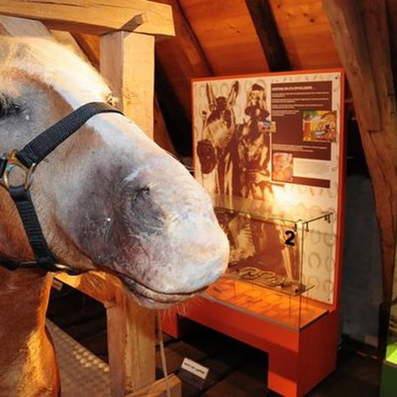 Museumsmederij "De Hoefhamer"