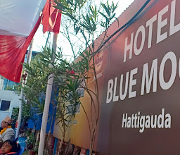 Hotel Blue Moon photo