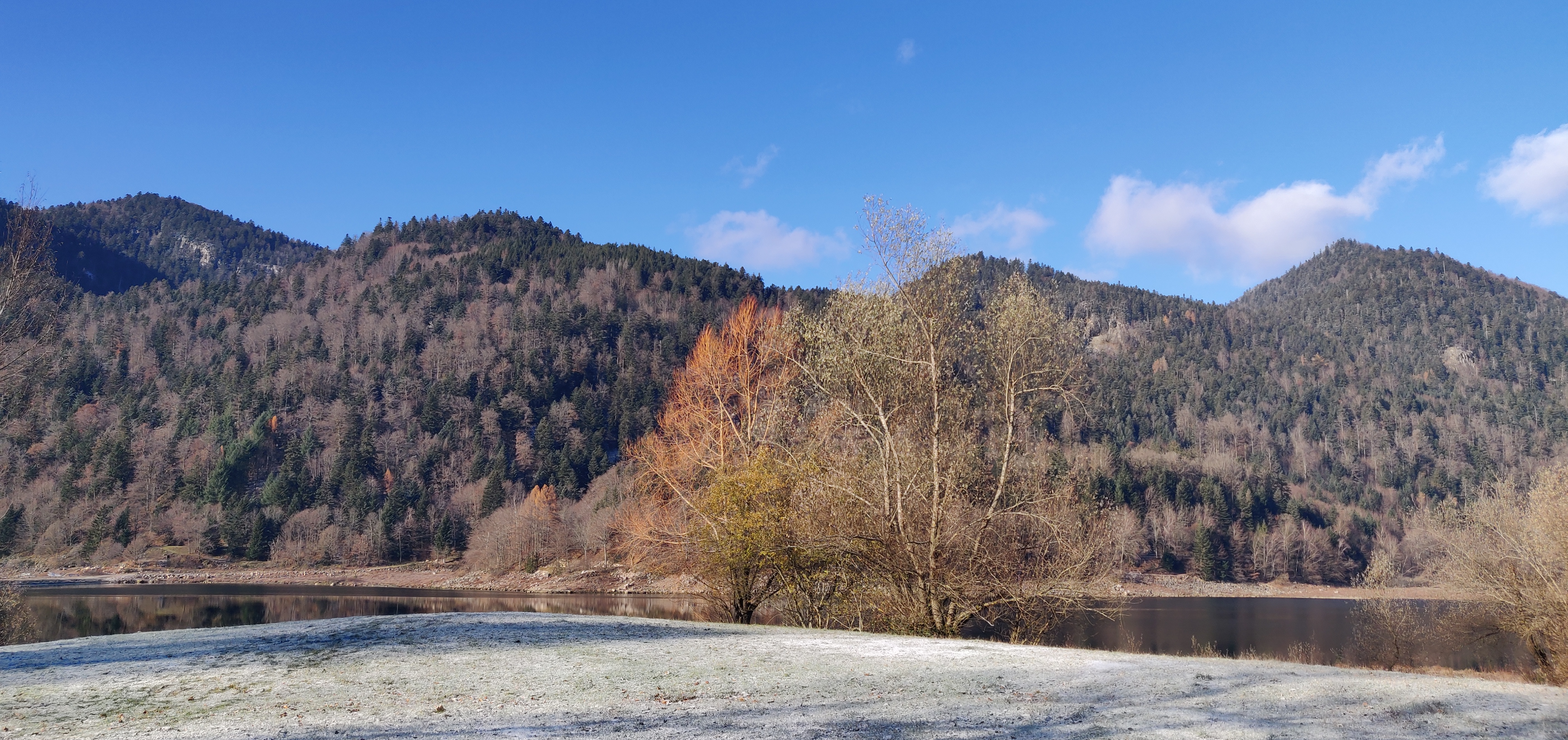Photo n° 2 de l'avis de gsm.s fait le 28/12/2022 à 11:29