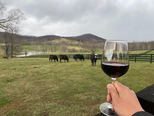 Ranch «The Marriott Ranch Bed and Breakfast», reviews and photos, 5305 Marriott Ln, Hume, VA 22639, USA