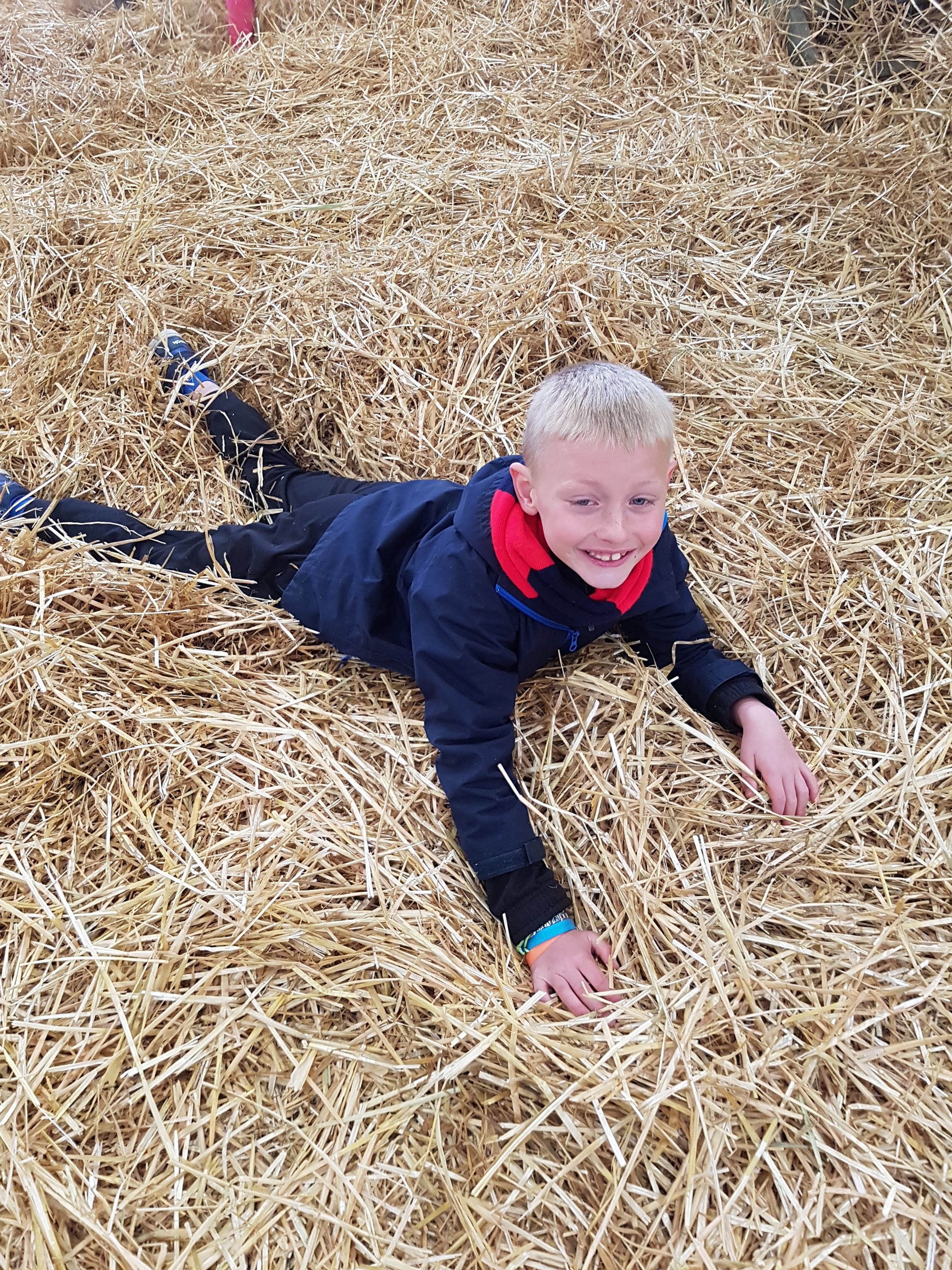 Photo n° 40 de l'avis de Alicia.P fait le 28/04/2019 à 13:27