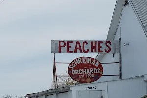 Schreiman Orchards image