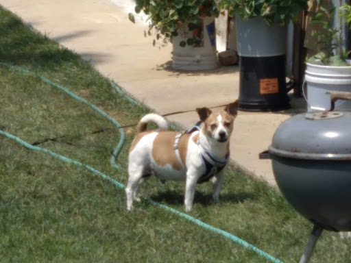 Liquor Store «Town & Country Liquors», reviews and photos, 2944 W 47th St, Chicago, IL 60632, USA