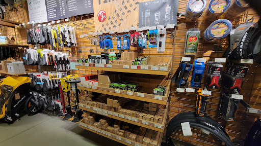 Camping Store «REI», reviews and photos, 12218 E Foothill Blvd, Rancho Cucamonga, CA 91739, USA
