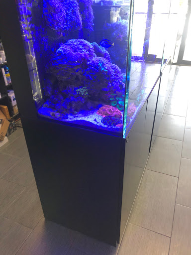 Tropical Fish Store «OceanLife Aquariums», reviews and photos, 5475 West Loop S, Houston, TX 77081, USA