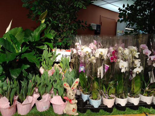 Supermarket «Giant Eagle Supermarket», reviews and photos, 2390 W Prospect Rd, Ashtabula, OH 44004, USA