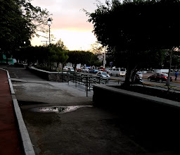 Tienda Comex photo