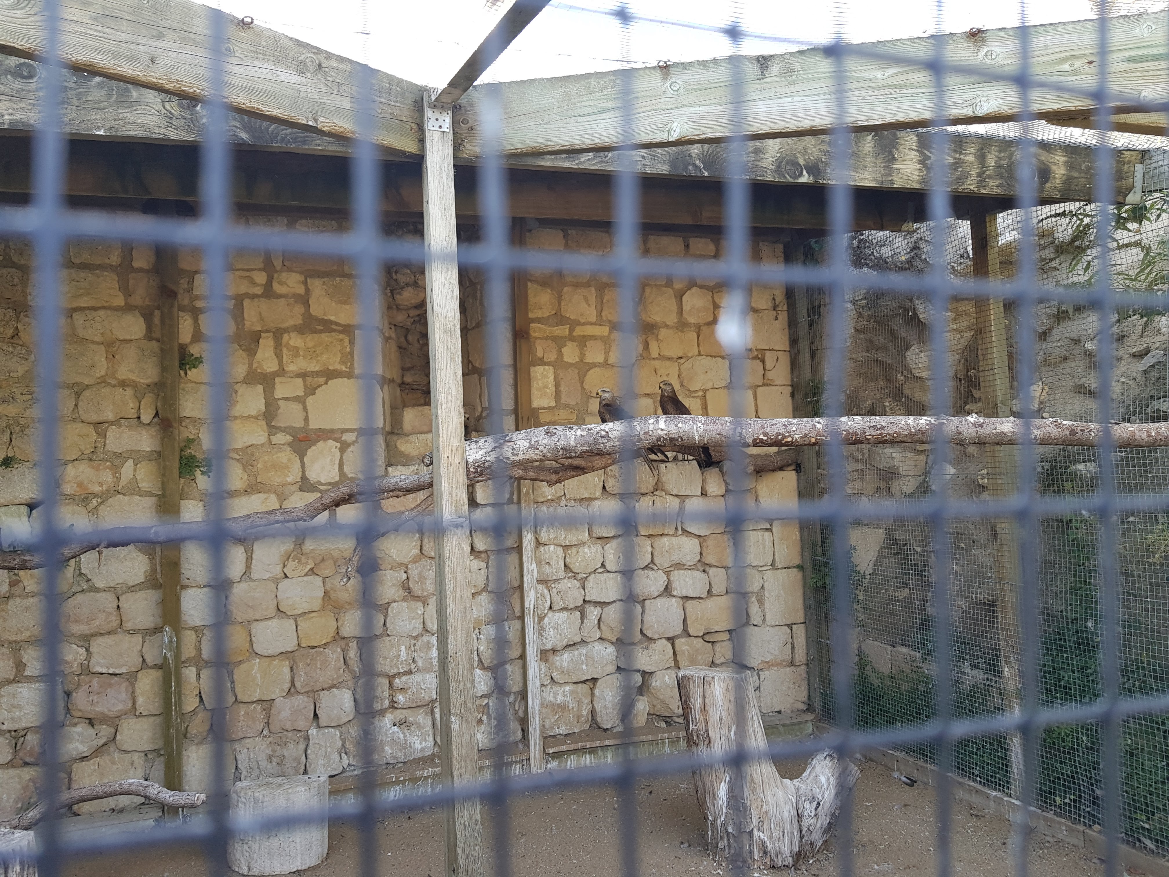 Photo n° 5 de l'avis de Alexandre.L fait le 24/09/2017 à 17:00