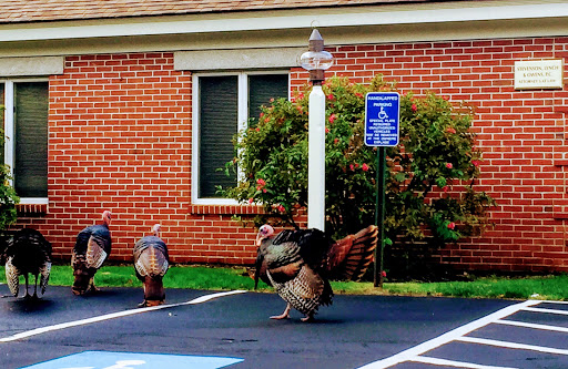 Tax Attorney «Lynch & Owens, PC», reviews and photos