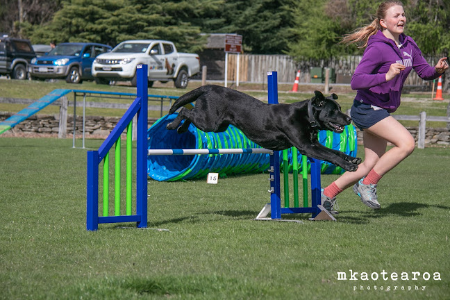 Reviews of Queenstown Dog Agility Club in Te Anau - Dog trainer