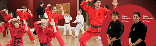 Douvris Martial Arts, Karate, Kickboxing - Westboro