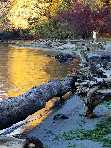 State Park «Dash Point State Park», reviews and photos, 5700 SW Dash Point Rd, Federal Way, WA 98023, USA