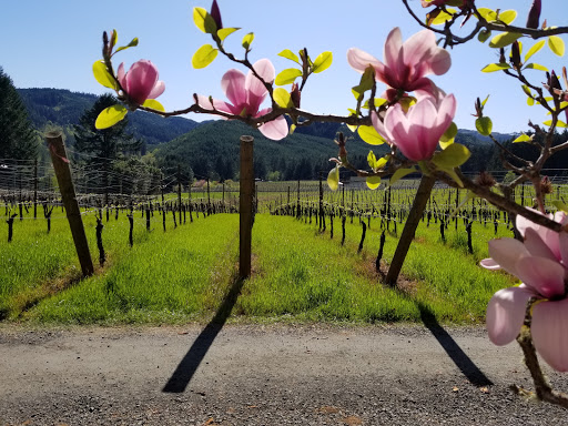 Winery «High Pass Winery», reviews and photos, 24757 Lavell Rd, Junction City, OR 97448, USA