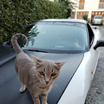 Photo n° 1 de l'avis de serge.n fait le 03/10/2023 à 00:10 pour Clinique Veterinaire Les Cedres à Valence